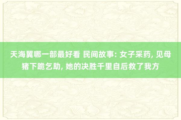 天海翼哪一部最好看 民间故事: 女子采药， 见母猪下跪乞助， 她的决胜千里自后救了我方