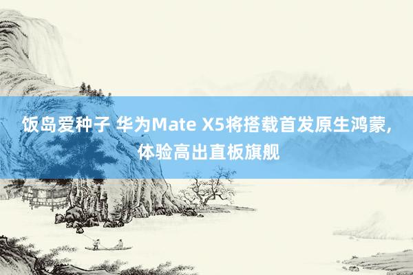饭岛爱种子 华为Mate X5将搭载首发原生鸿蒙， 体验高出直板旗舰