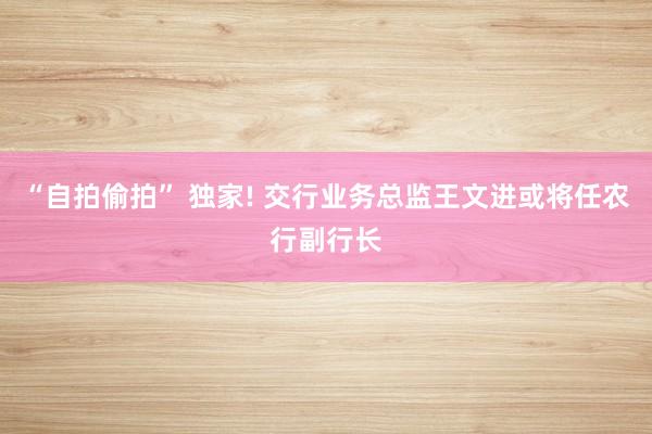 “自拍偷拍” 独家! 交行业务总监王文进或将任农行副行长