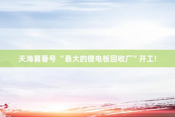 天海翼番号 “最大的锂电板回收厂”开工!