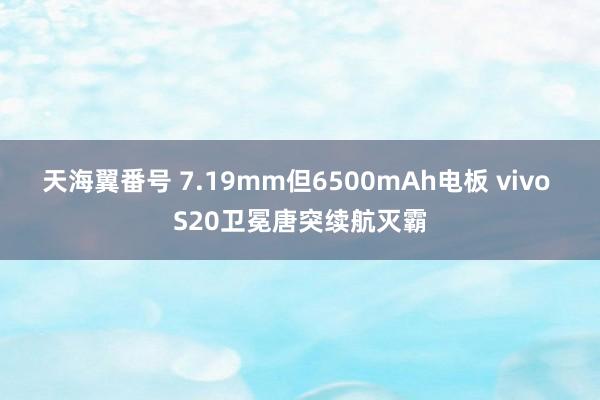 天海翼番号 7.19mm但6500mAh电板 vivo S20卫冕唐突续航灭霸